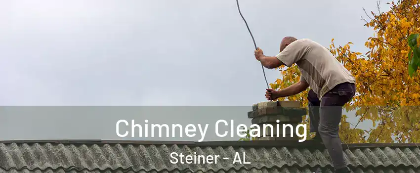 Chimney Cleaning Steiner - AL