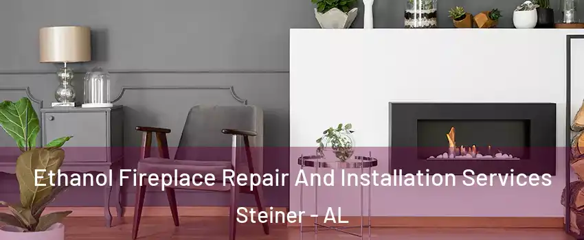 Ethanol Fireplace Repair And Installation Services Steiner - AL